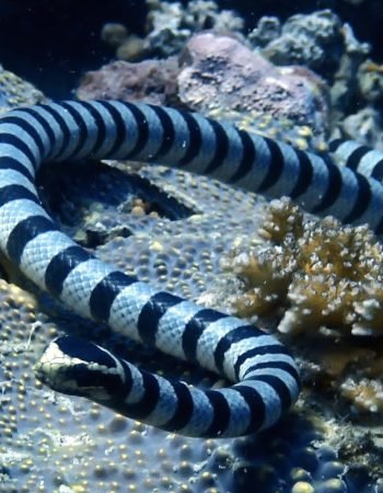 044F96EE-756F-41B2-8F75-A85108B50742 2