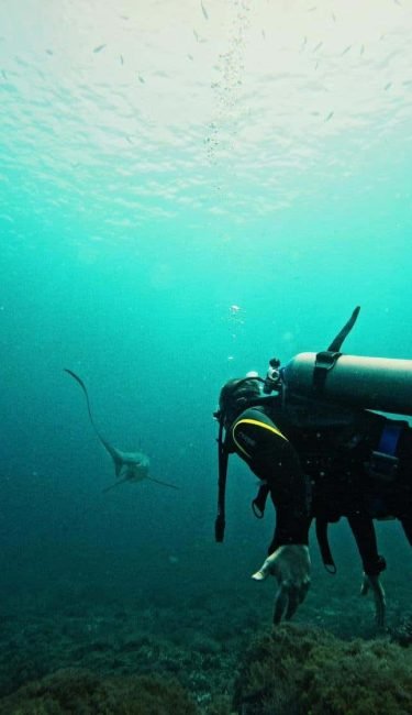 9d03a537-47e4-4e54-91f9-98fcd9f025d0 2