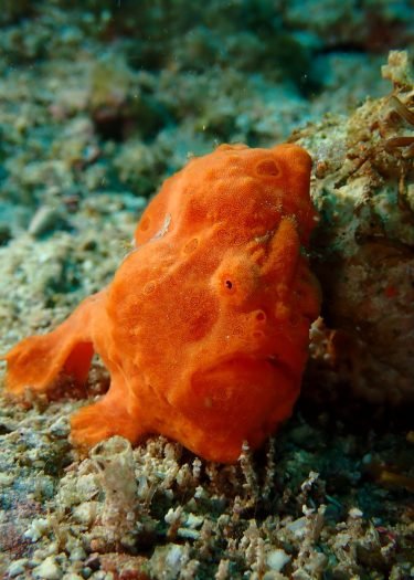 E1895383-E2CA-4950-8C16-72976A270AC5