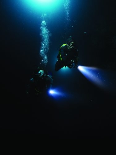 Night dive 2
