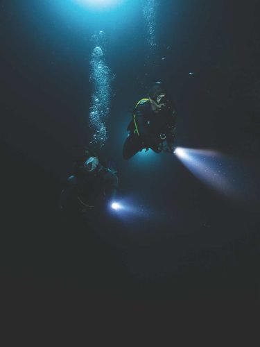Night dive 2