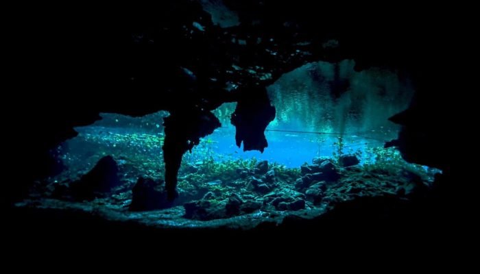 Cenotes de Playa del Carmen